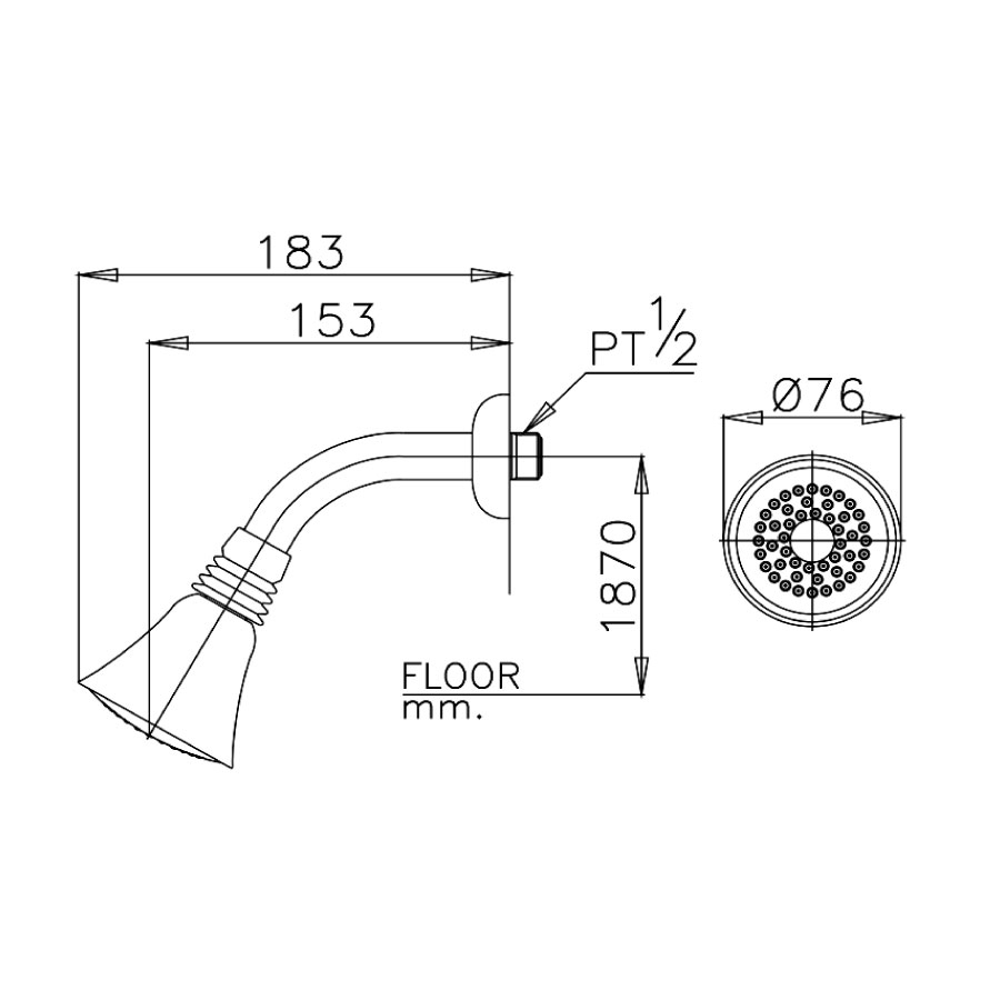 Bản vẽ kích thước bát sen gắn tường Z55(HM) Cotto