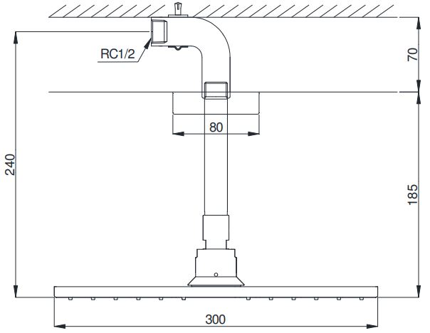 Bản vẽ bát sen tắm DBX114-1CAM TOTO gắn trần