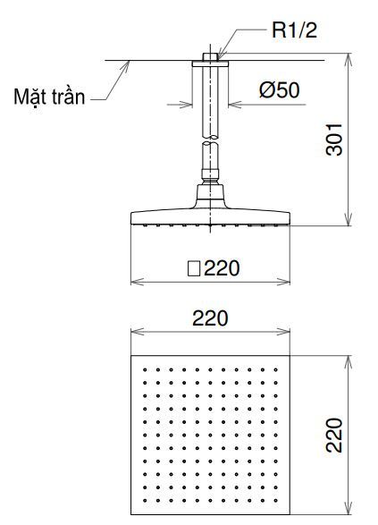 Bản vẽ bát sen Toto DB1441CR